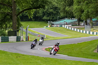 cadwell-no-limits-trackday;cadwell-park;cadwell-park-photographs;cadwell-trackday-photographs;enduro-digital-images;event-digital-images;eventdigitalimages;no-limits-trackdays;peter-wileman-photography;racing-digital-images;trackday-digital-images;trackday-photos